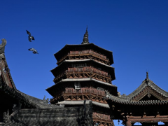 更多有影响力、可复制的标杆项目